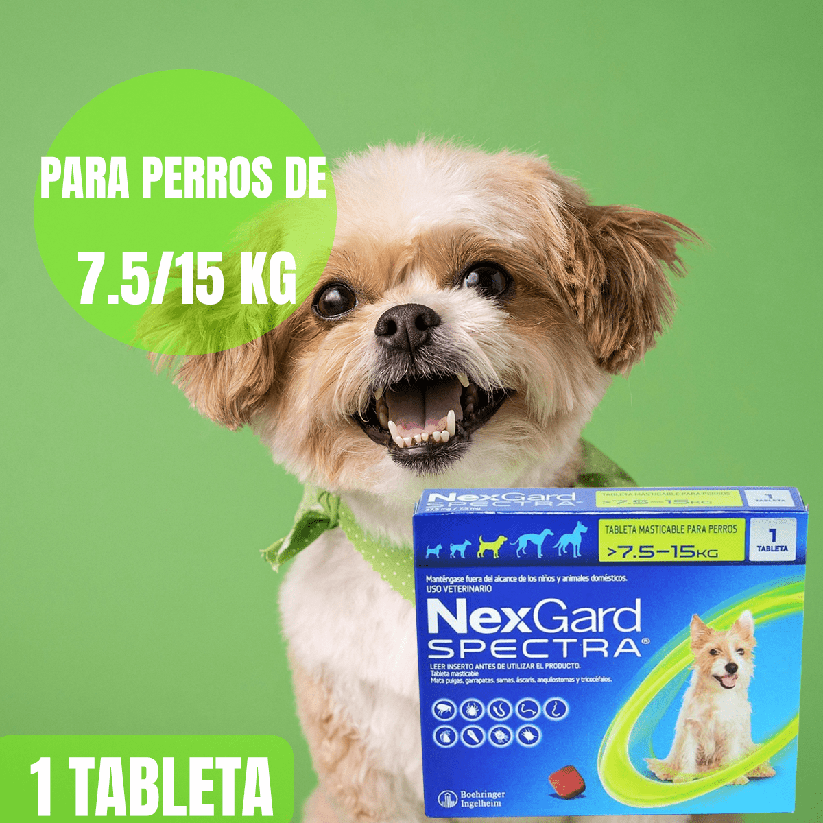 NEXGARD ANTIPULGAS Y GARRAPATAS PARA PERROS - FridaPets - Perro - Salud y bienestar - FridaPets